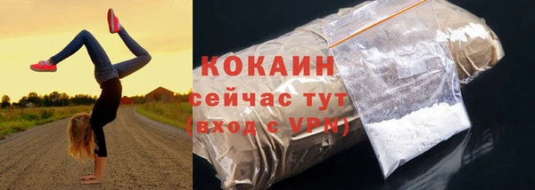 стафф Осташков