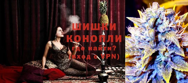 гашик Данков