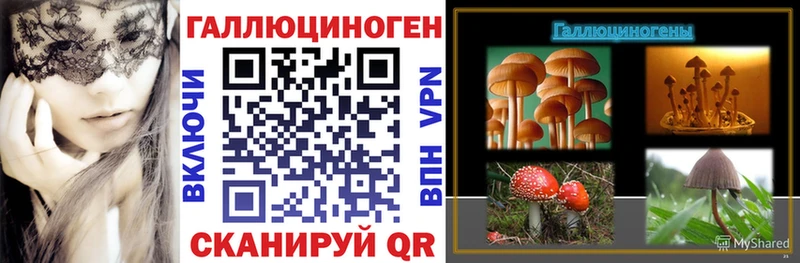 где купить наркотик  Владивосток  блэк спрут онион  Галлюциногенные грибы Cubensis 