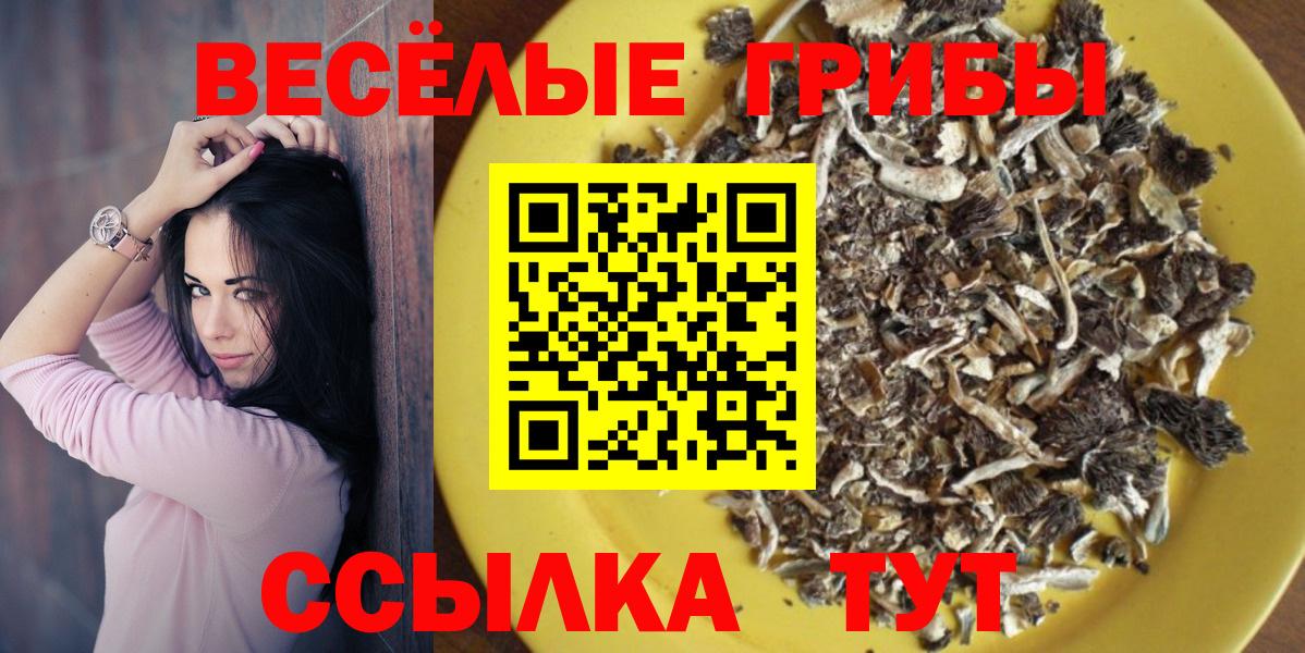 Галлюциногенные грибы ЛСД  купить наркотик  Владивосток  Вход с VPN 