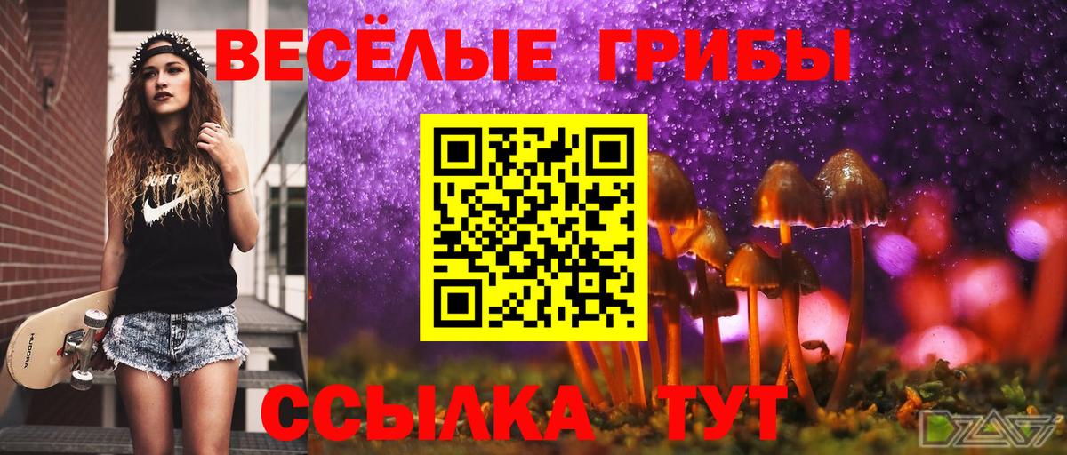 Псилоцибиновые грибы Magic Shrooms Владивосток