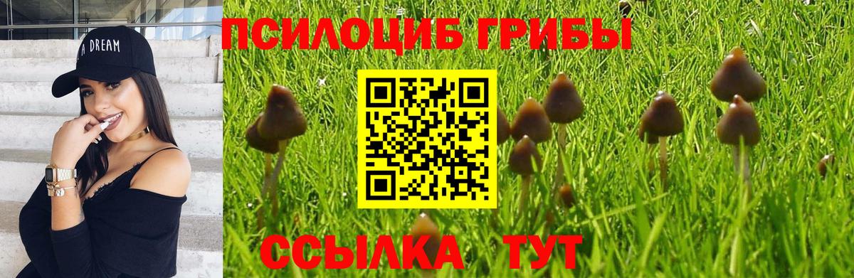 Псилоцибиновые грибы мухоморы  Владивосток 