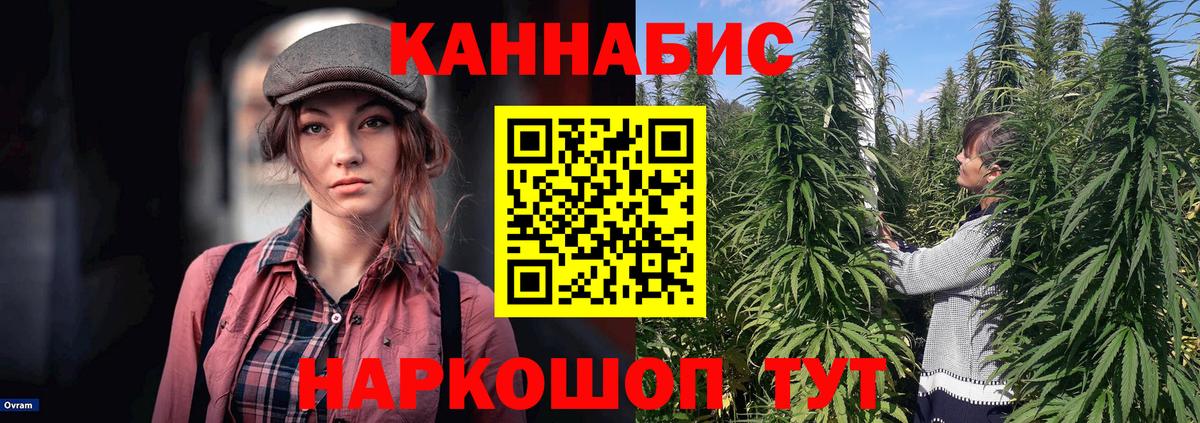 Бошки марихуана семена Владивосток